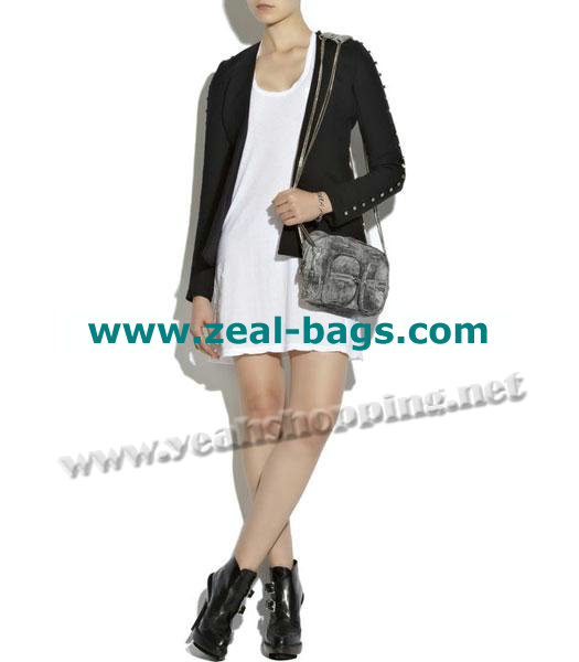 AAA Replica Alexander Wang Brenda Zip Chain Should Bag Grey Lambskin - Click Image to Close